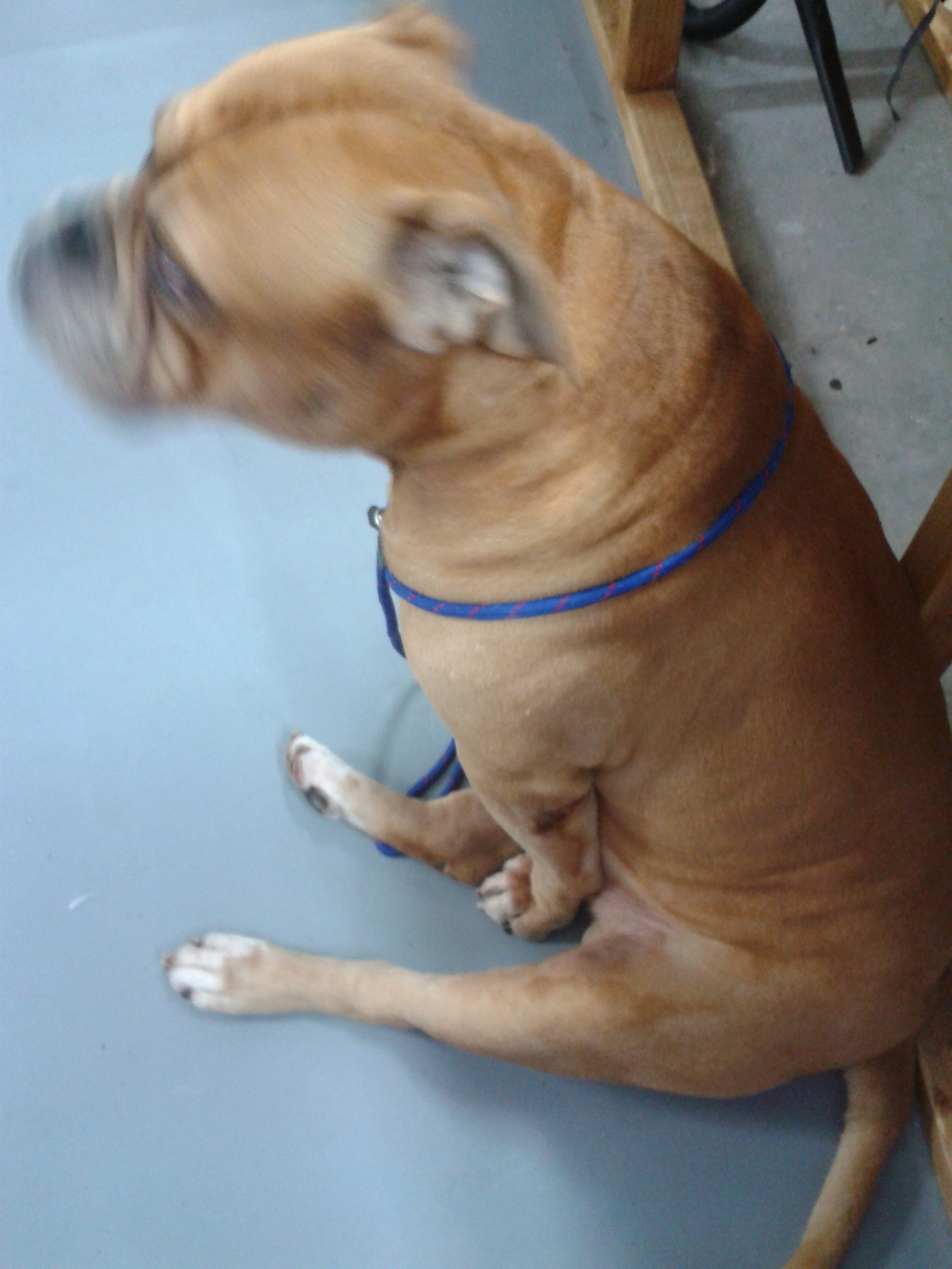 2012-11-26_10.27.05.jpg