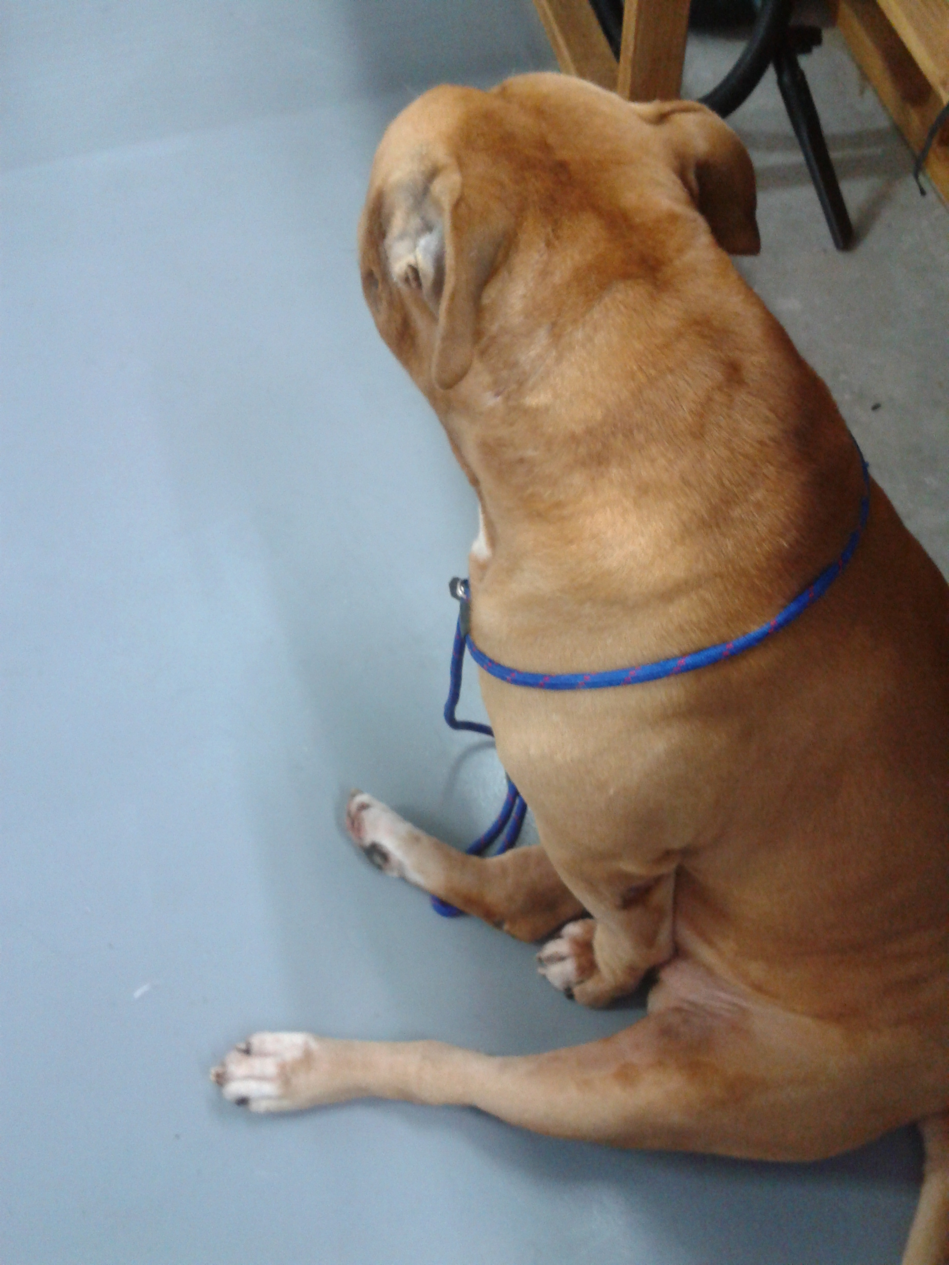2012-11-26_10.27.05.jpg