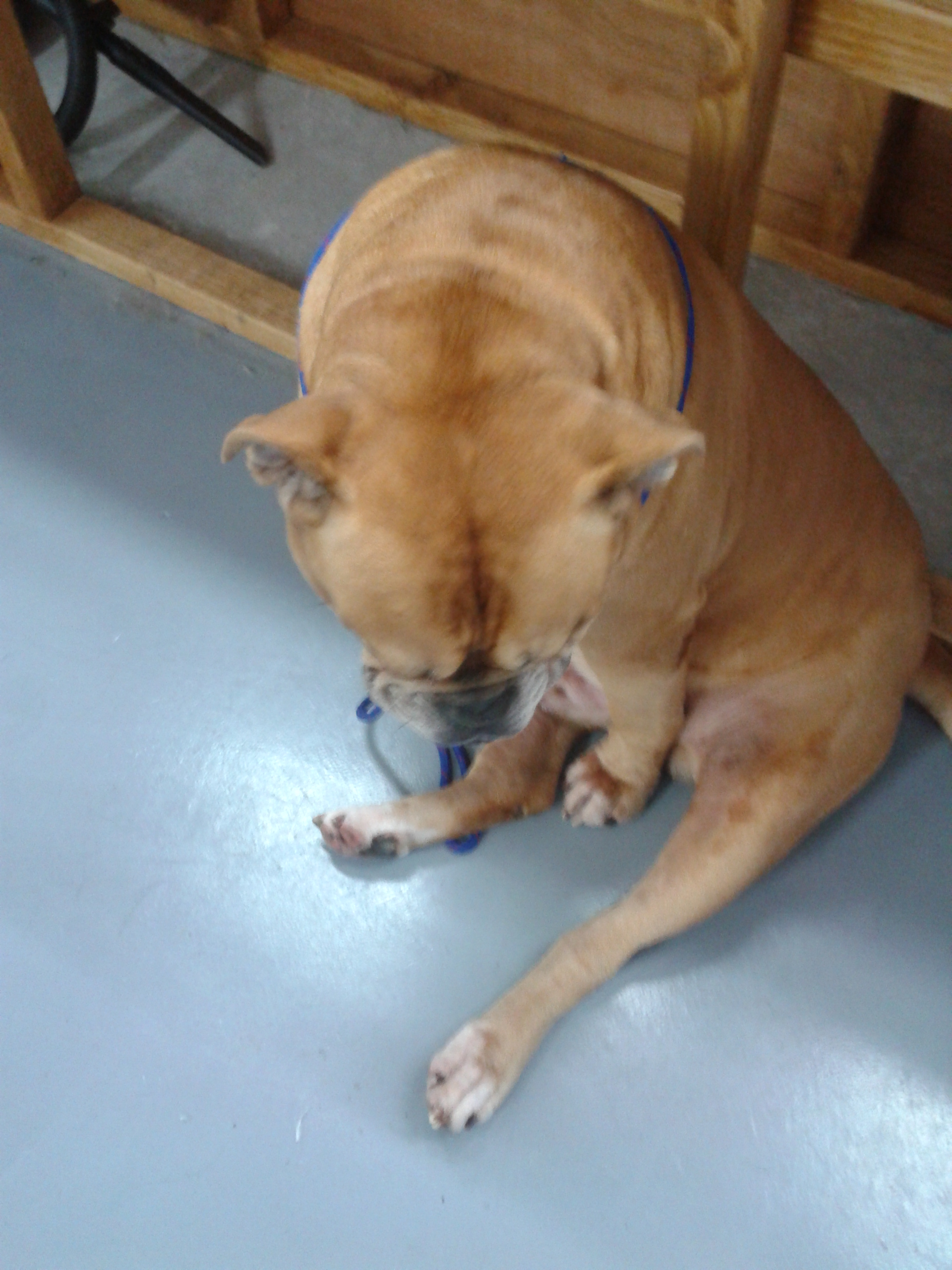 2012-11-26_10.27.05.jpg