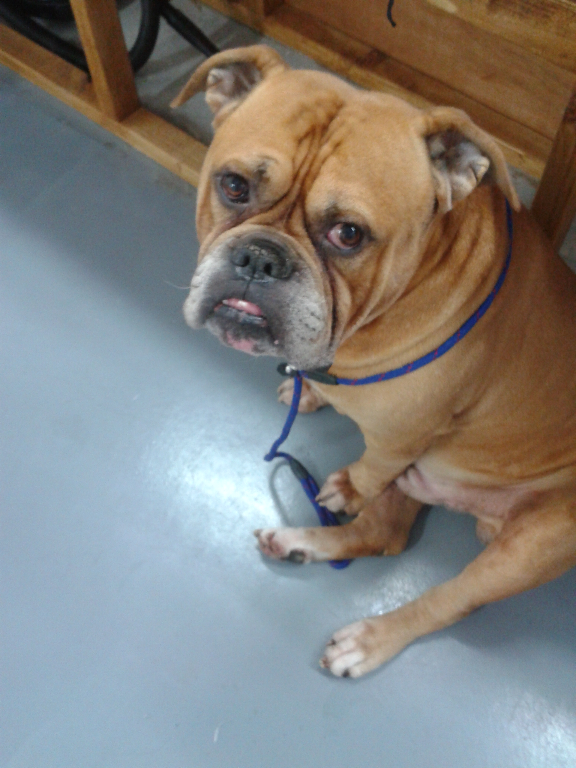 2012-11-26_10.27.05.jpg