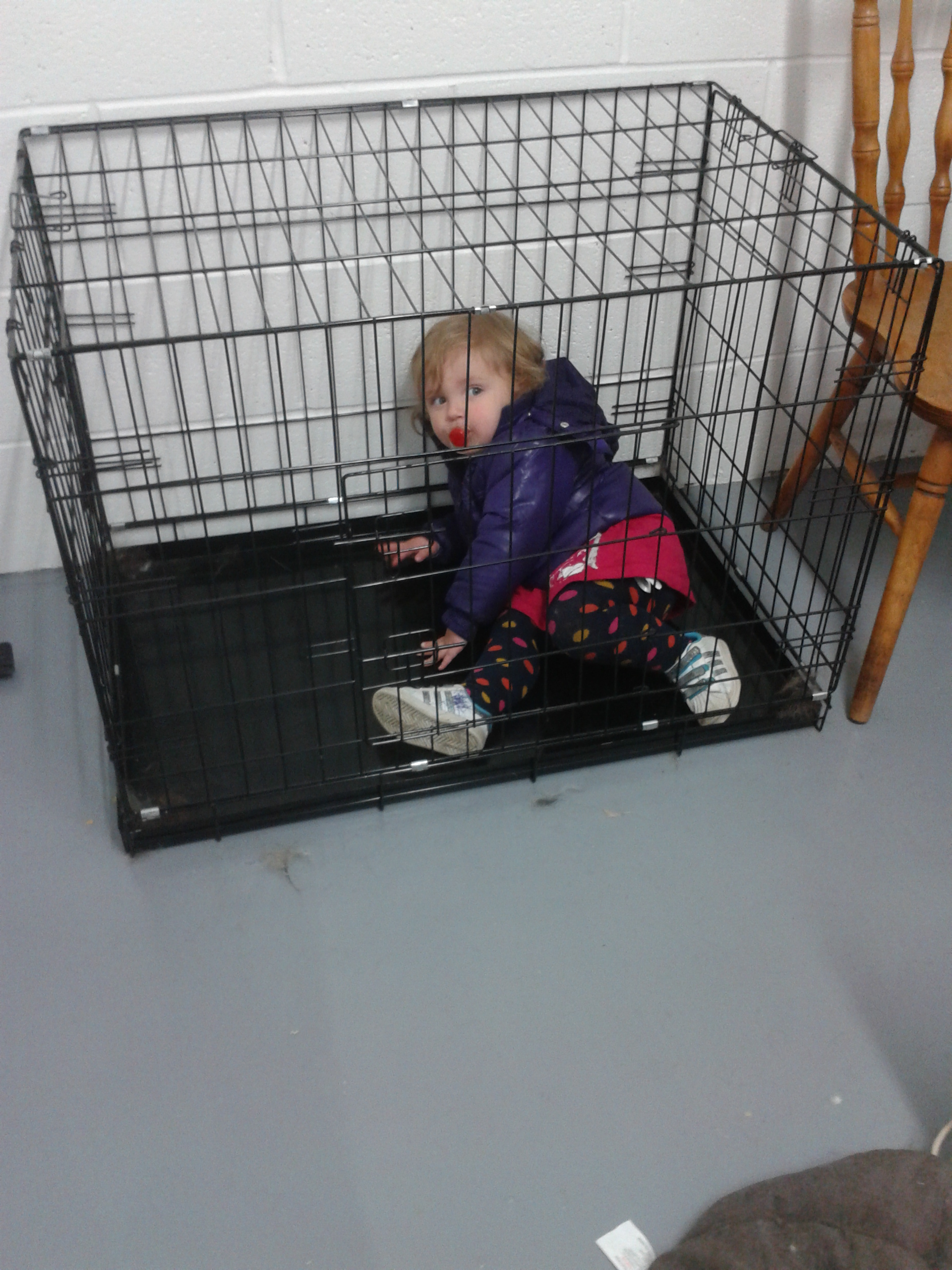 2012-11-26_10.27.05.jpg