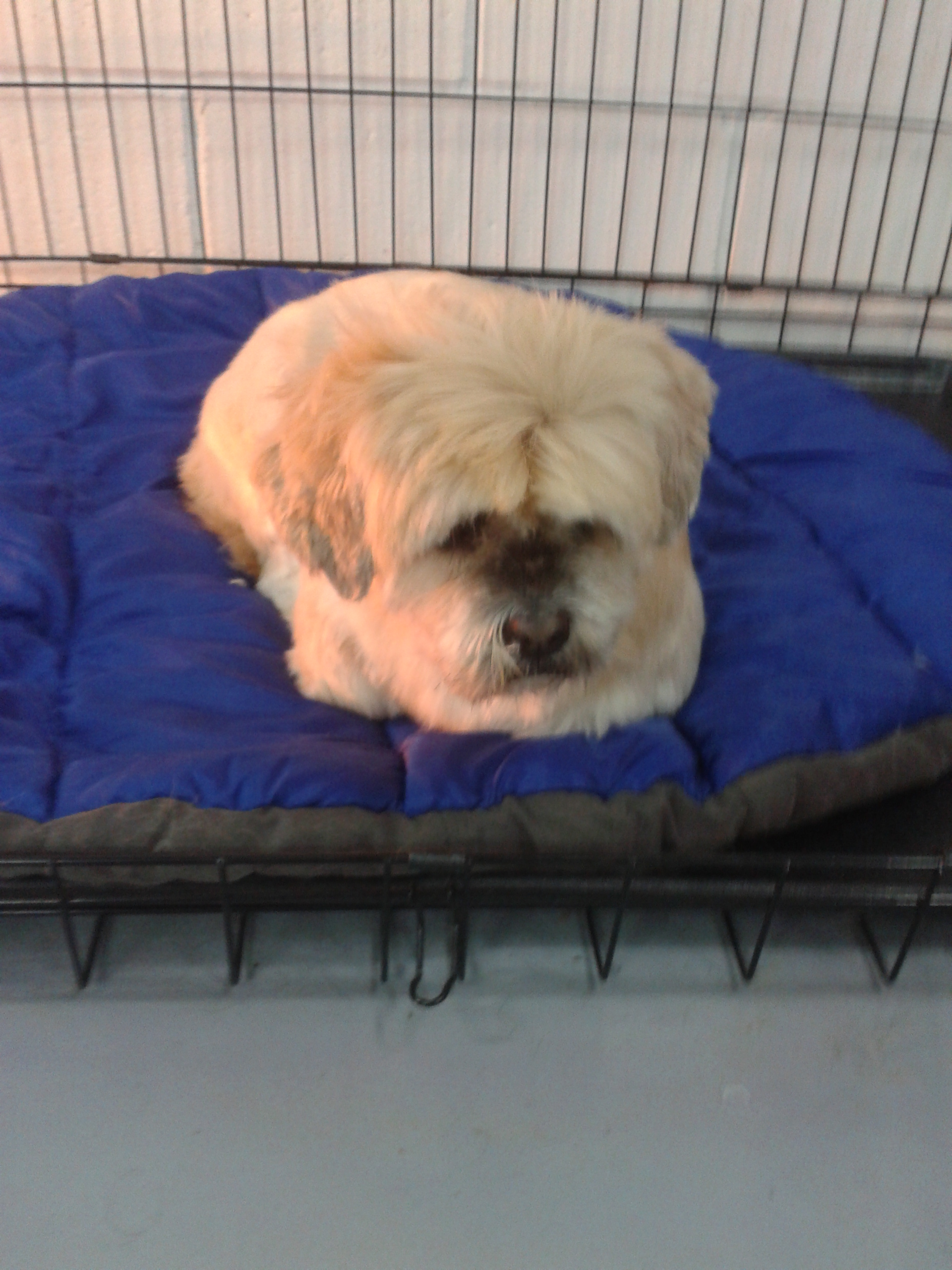 2012-11-26_10.27.05.jpg